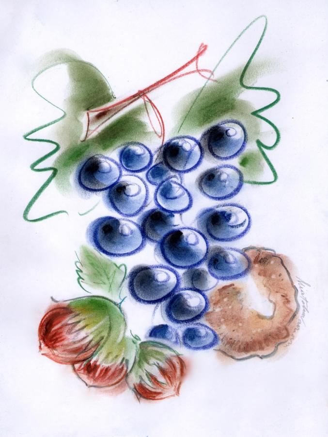 Agriturismo Tre Stelle Barbaresco Eksteriør billede