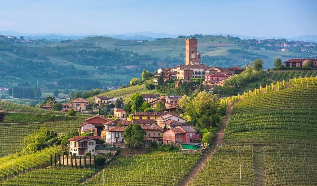 Agriturismo Tre Stelle Barbaresco Eksteriør billede