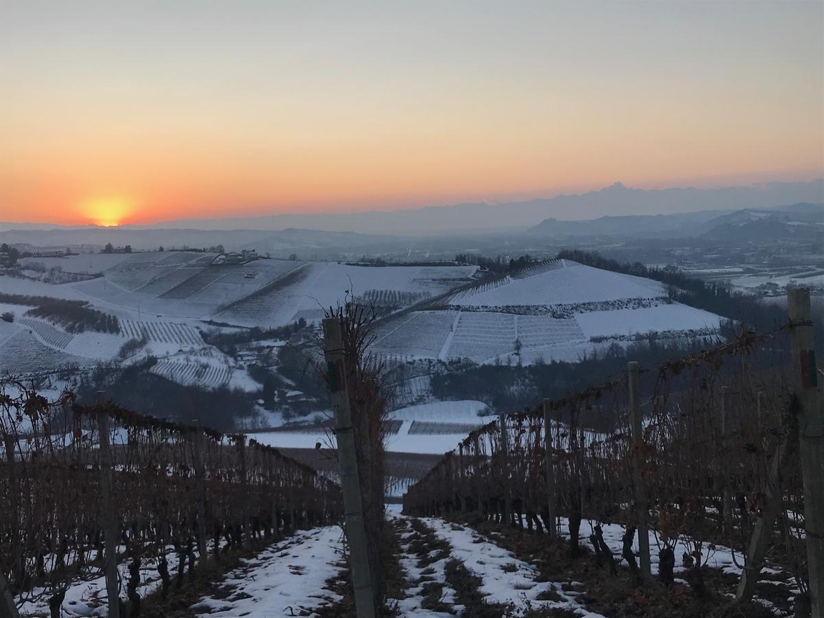 Agriturismo Tre Stelle Barbaresco Eksteriør billede