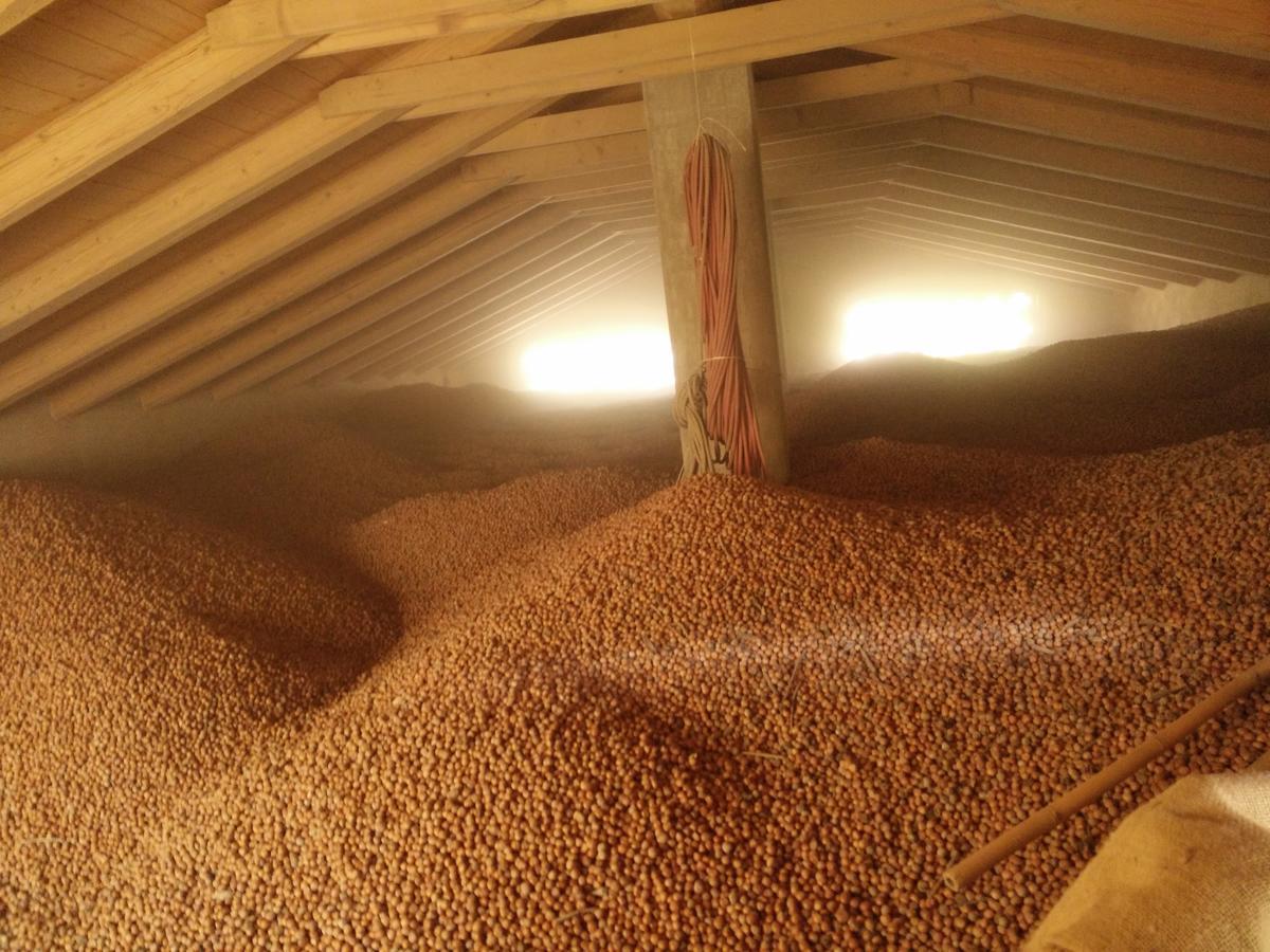 Agriturismo Tre Stelle Barbaresco Eksteriør billede